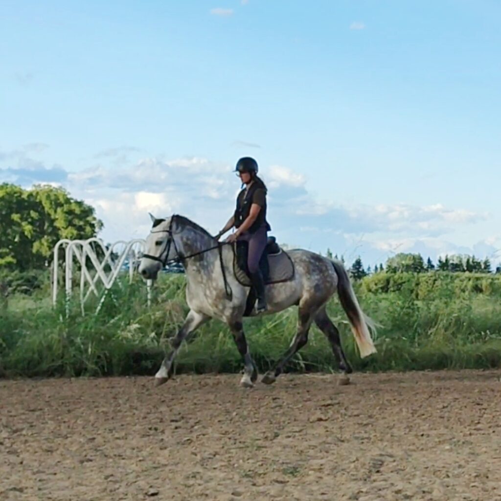 Camille et Hero en mai 2024 dans le Gard
