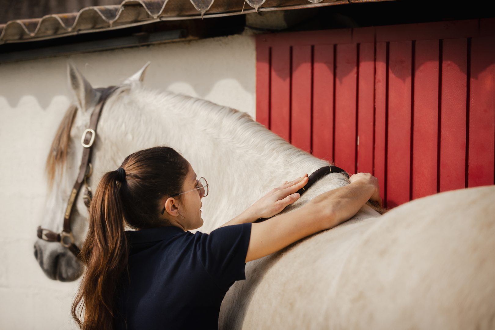 Prise de mesures d'un cheval ibérique au cours d'une séance de saddle fitting menée par Camille Tao Bordaberrye, enseignante d'équitation et saddle fitter professionnelle exerçant dans le sud de la France et les Pyrénées Atlantiques
