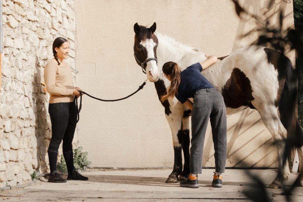 Complicité en séance de saddle fitting