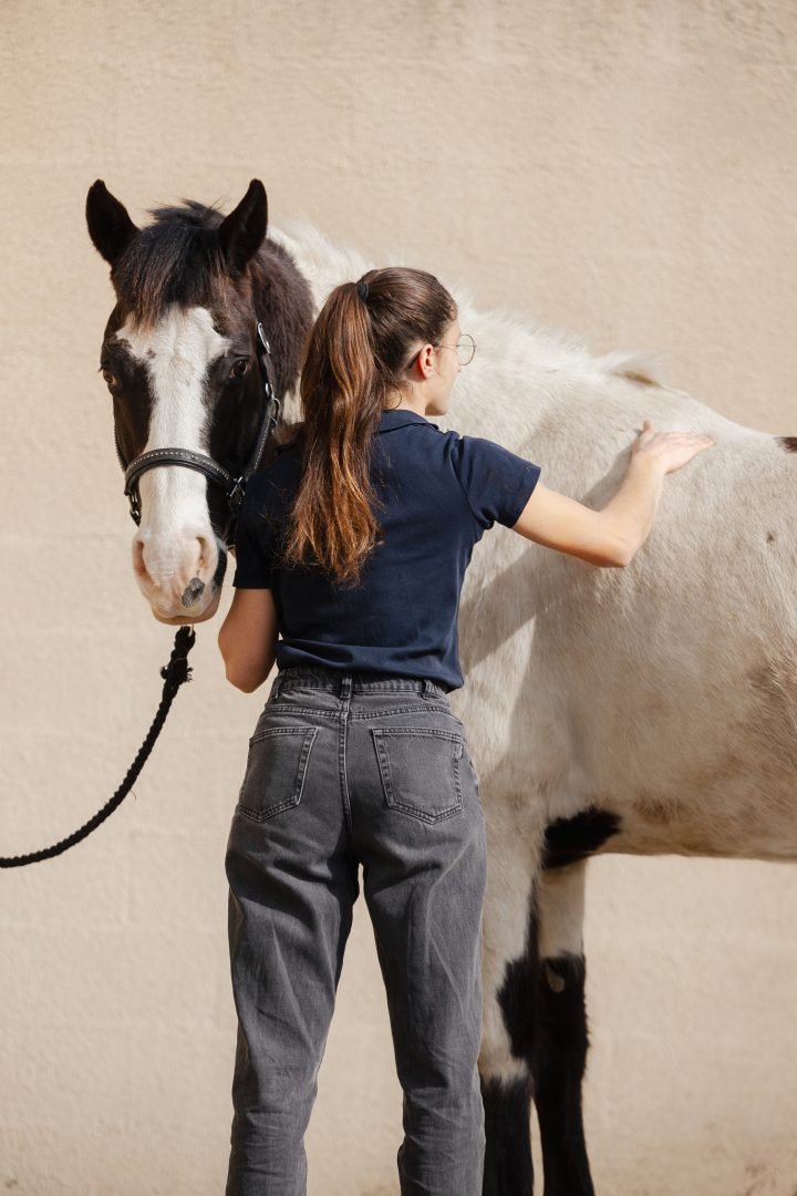 Palpation du cheval au cours d'une séance de saddle fitting dans le sud de la France menée par Camille Tao Bordaberry, enseignante en dressage et ergonome équestre professionnelle
