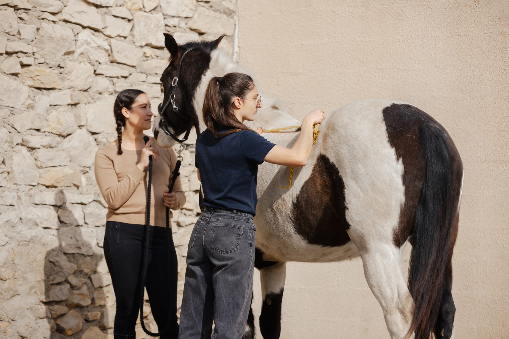 Prise de mesure sur un cheval de loisir Paint Horse au cours d'une séance de saddle fitting menée par Camille Tao Bordaberry dans le sud de la France