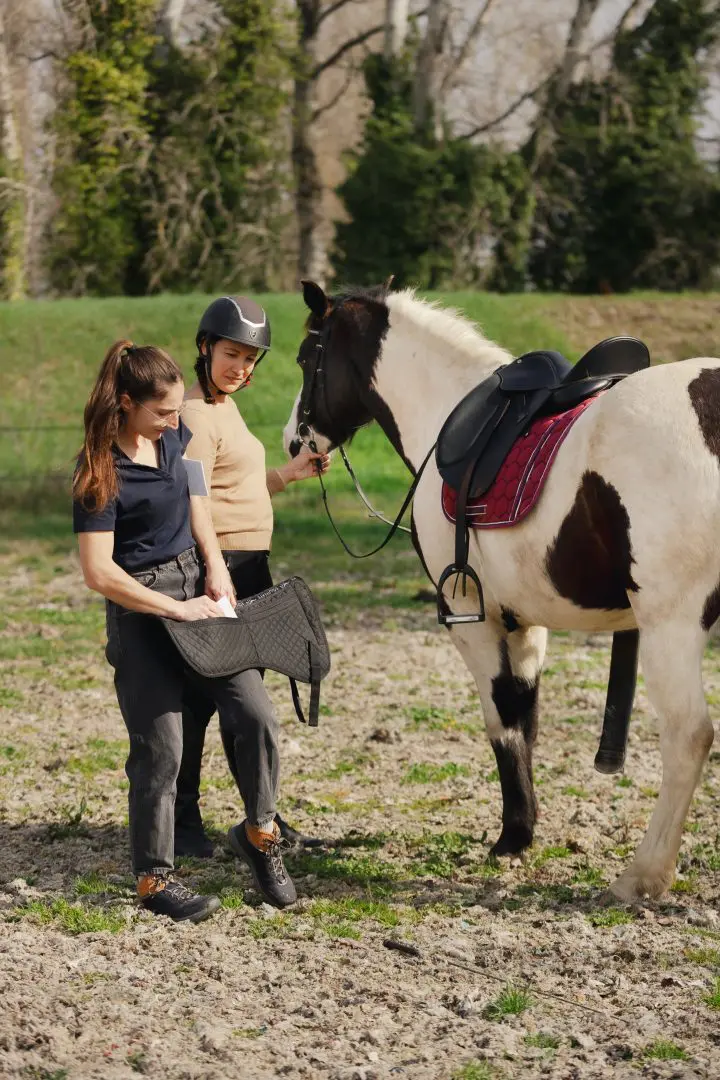 Réglage d'un correcteur pour ajuster l'équilibrage d'une selle au cours d'une séance de saddle fitting dans le sud de la France, menée par Camille Tao Bordaberry, ergonome équestre issue de la formation professionnelle de chez Ergonomie Équestre