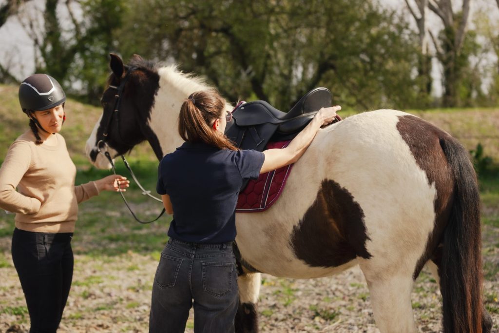Réglages d'une selle lors d'une séance de saddle fitting menée par Camille Tao Bordaberry, enseignante d'équitation et ergonome équestre basée à Pau, porte des Pyrénées