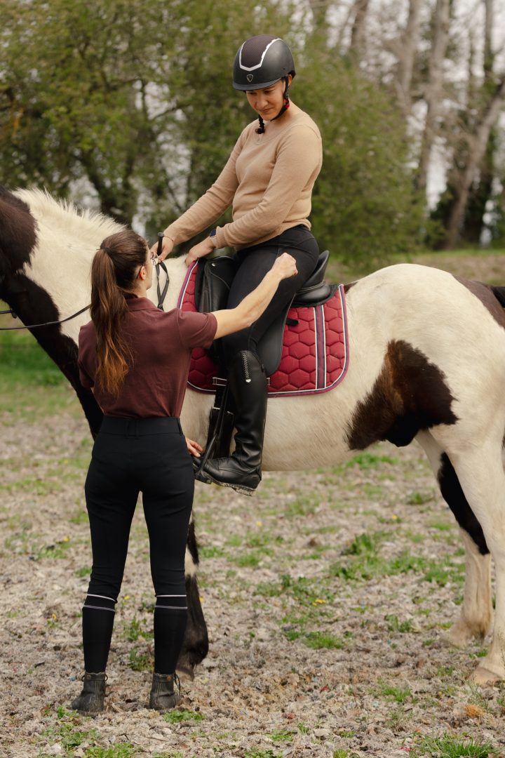 Cours de dressage orienté sur le fonctionnement du cavalier par Camille Tao Bordaberry, enseignante d'équitation spécialisée en biomécanique et saddle fitter diplômée exerçant dans les Pyrénées Atlantiques et le sud de la France